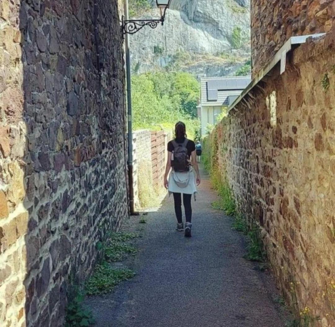 Escale Chambre D'Hotes Au Coeur Du Vieux Profondeville Entre Namur Et Dinant Exteriér fotografie