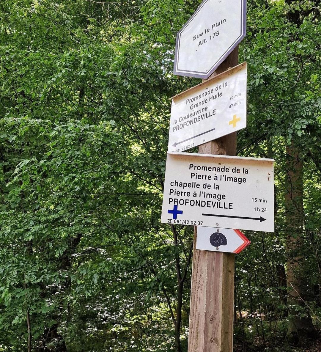 Escale Chambre D'Hotes Au Coeur Du Vieux Profondeville Entre Namur Et Dinant Exteriér fotografie